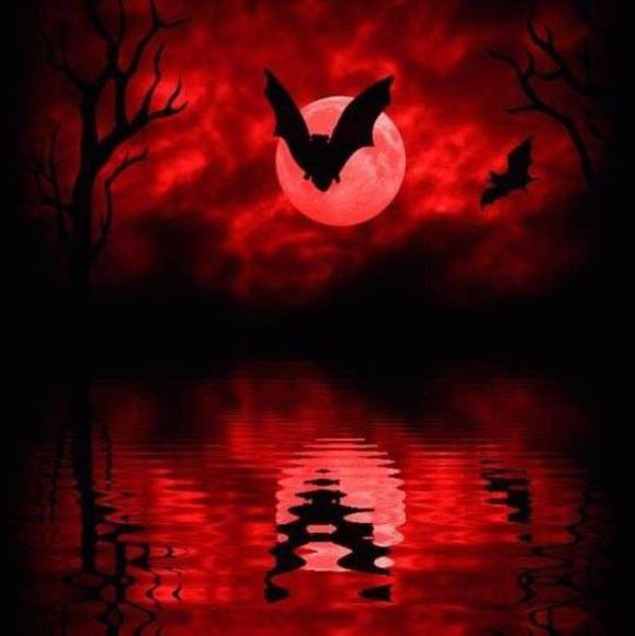 Meet your Posher, Krabby - Picture 1 of 1